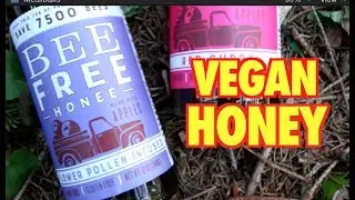 Vegan Honey? Mac & CHAO What's in the Box? + Indy the Pup