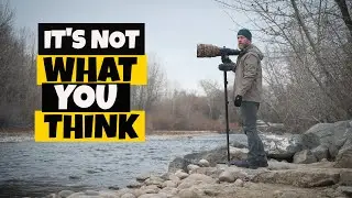 Bird Photography Tips. Everything you need to know in one video. (sort of)