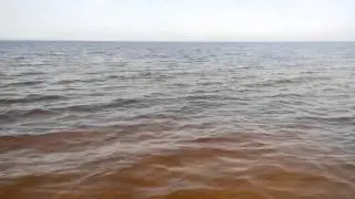 Киевское море, мелкота