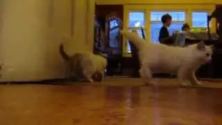 Wine corks are so fun!