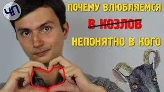 Почему мы влюбляемся непонятно в кого || Химия любви || Импринтинг