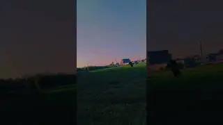 Каждый тверичанин хотя бы раз в жизни видел это поле #териантроп #квадробика #therian #quadrobics