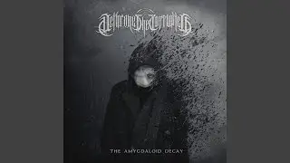 Of Man & The Amygdaloid Reaper