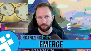 Upgrading Insert for Emerge | Organizing Bits