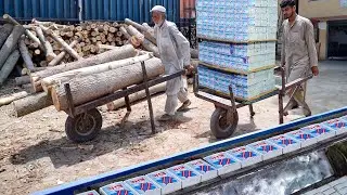 Genius Way They Transform Wood into Millions of Matchsticks