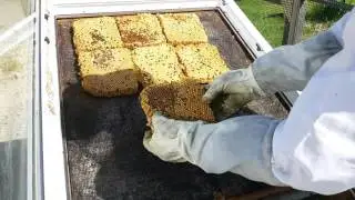Замена воска в самодельной воскотопке.