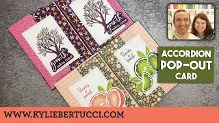🔴 Simple Fun Fold Craft Class | Accordion Pop-Out Card