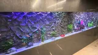 9000 Litre Akvaryum