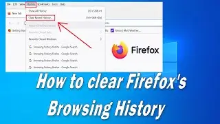 How to clear Firefox's Browsing History