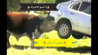 تور الرباط اليوم الجزء 4