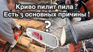 Почему криво пилит бензопила?топ 3 основных причины!