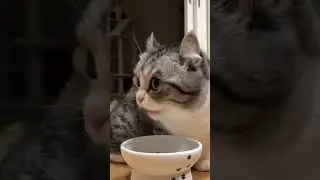 уютный обед 