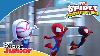 🎵 Introsang 🕷️ | Spidey og hans fantastiske venner | Disney Junior Danmark