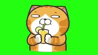 ✔️GREEN SCREEN EFFECTS: funny carefree cat drinking juice