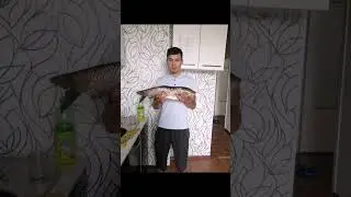 рыбалка Тараз 