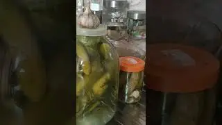 Бизнес ,,в гору пошёл''😂