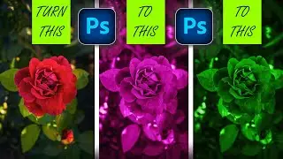 Gradient Map use In Photoshop | Color Grading Using gradient Map | Photoshop