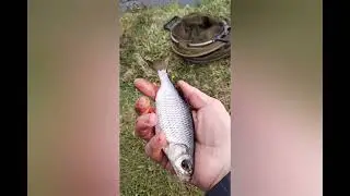 #рыбалка