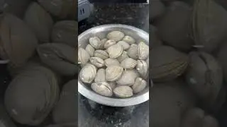 Any Clam Lovers in the House!? #SHORTS