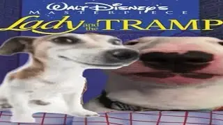 Sus object in Lady and the Tramp