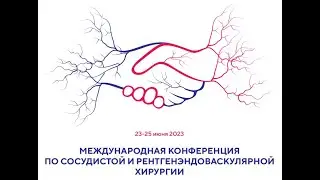 Приоритеты в ультразвуковой оценке степени стеноза внутренней сонной артерии (профессор Куликов ВП)