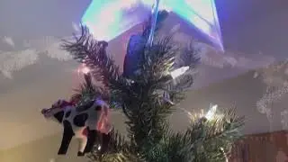 Morton College ESL, Holiday 2020
