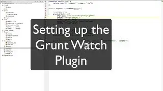 Setting up the Grunt Watch Plugin