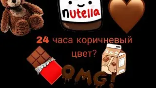 Челлендж 24 часа всё коричневого цвета. Что стало со Светой в конце дня? 🙈