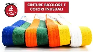 SIGNIFICATO delle CINTURE COLORATE 2 - cinture bicolore e colori inusuali - karate, judo, kickboxing