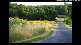 C'est Tout (Instrumental) - Ji PyeongKyeon