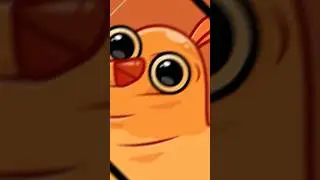 CHIC COG GO edit