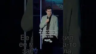 Базовые кошки = ❤️ 
