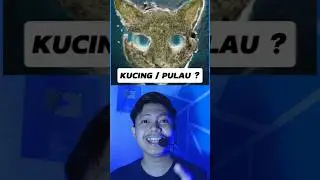 Gambar Kucing atau Pulau ?? 🧐 #shorts
