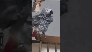 мокрая и красивая ведёт урок...