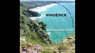 Phoenix Cornwall Harmony Chorus - How We Sang Today (CD, 2005)