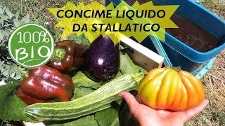 CONCIME LIQUIDO PER ORTO E PIANTE FAI DA TE DA STALLATICO