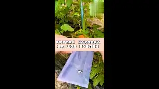 Находки Wildberries товары для дома с вайлдберрис, распаковка с вб