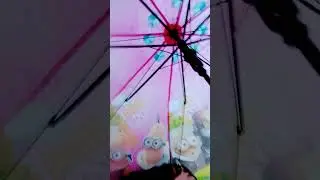 19 июня 2024 г.