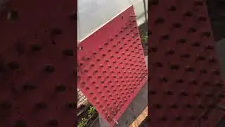 19 декабря сею розовые томаты пинк Маргари и калибр 