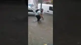 Sele kapılan kedi kurtarıldı