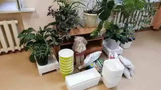 Маленькие радости. Начало проекта.