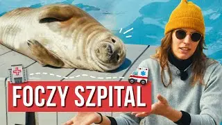 Bałtyk jest w tarapatach. Oto dlaczego 🐟