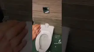 диалог с сенсорным туалетом 