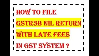 How to file GSTR-3B Nil return with late fees in GST 