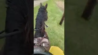 Sunday Rain-day on Friday 🐎