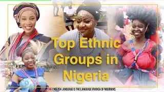 Nigerians in the Diaspora - Making the difference