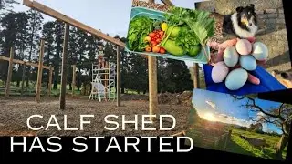 IM BACK!! Lets start with a Winter Property Tour - 10acre NZ Lifestyle block