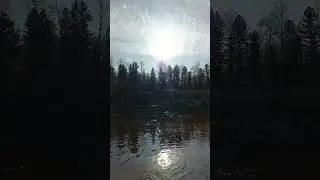 Тайга.Катесовский Ёган.
