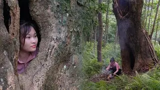 Build a primitive shelter in a mystical tree. Solo survival bushcraft