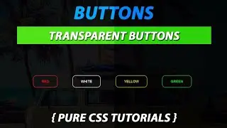 Transparent Button With Border Using CSS Create by VRPawar